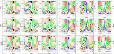 Genome-Wide Differential DNA Methylation in Reproductive, Morphological, and Visual System Differences Between Queen Bee and Worker Bee (Apis mellifera)